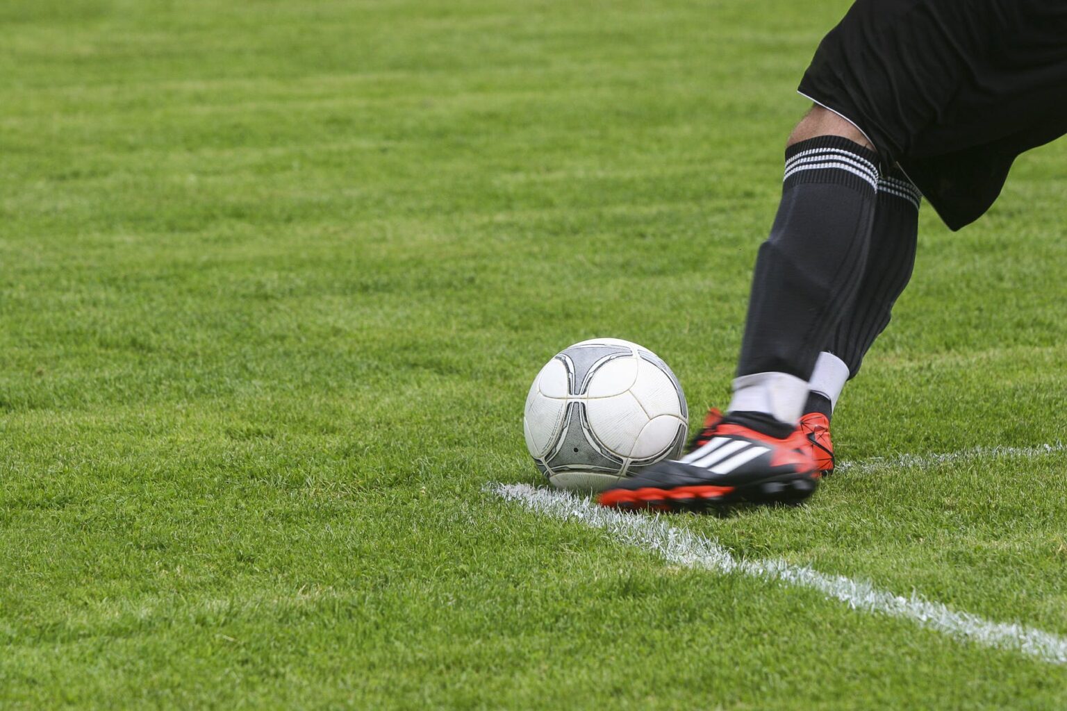 Which Sports Are The Most Profitable To Bet Bare Foots World