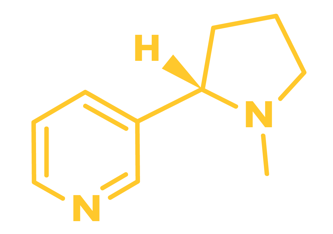 Химическая формула никотина. Nikotine. Никотин в жидком виде. Никотин формулс. Никотин строение.