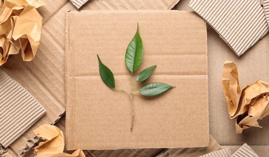 Environmental Benefits of Sustainable Packaging