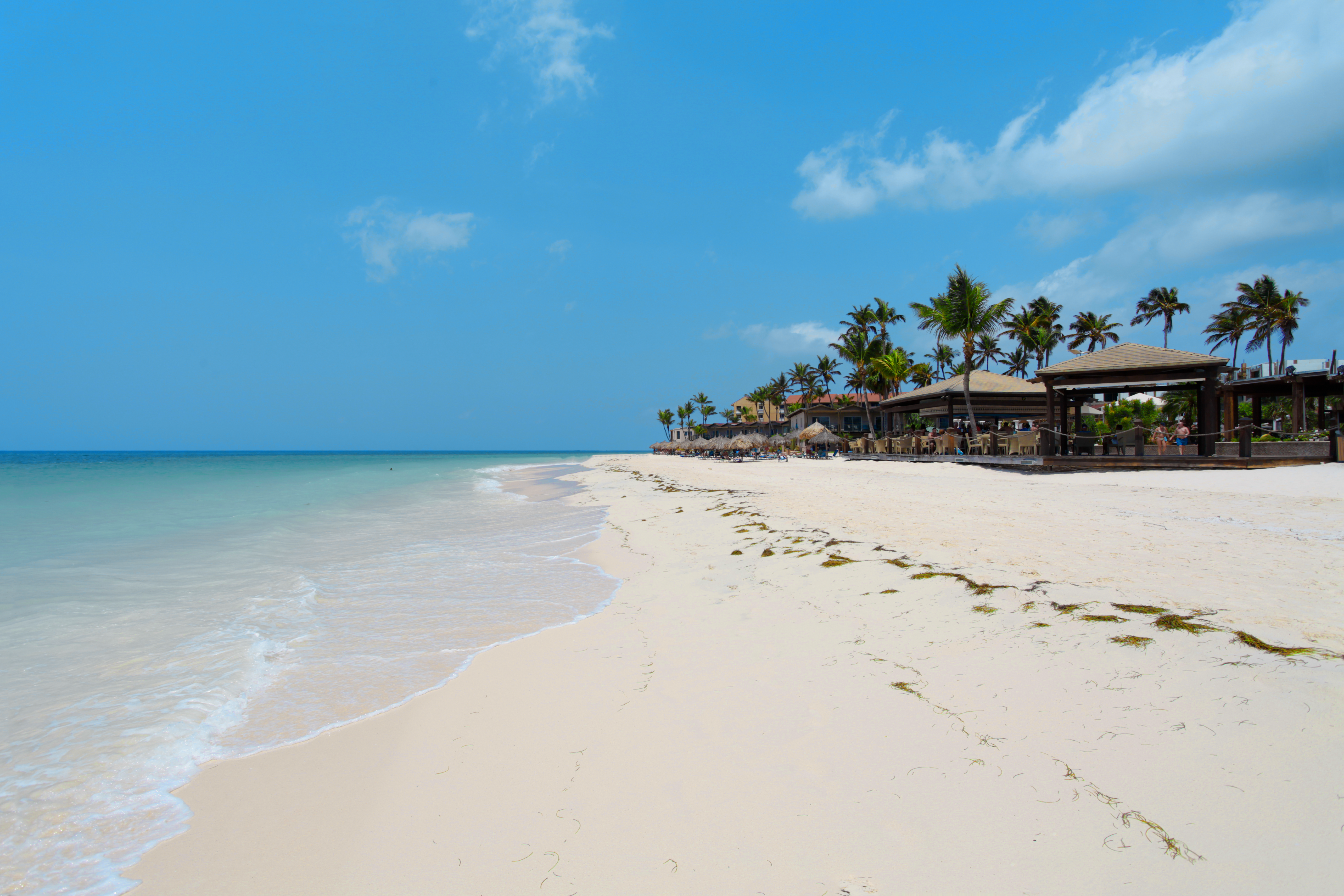 Palm-lined beachfront and clear turquoise water in Oranjestad, Aruba.